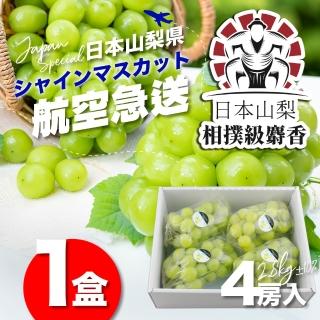 【果樹寶石】日本山梨縣相撲級麝香葡萄4大房禮盒(航空急送 富士山北側御選果園)