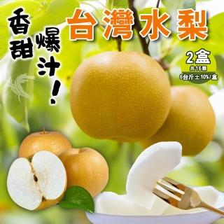 【禾鴻】脆甜多汁新興梨6台斤8顆禮盒x2盒(企業團購中秋送禮)