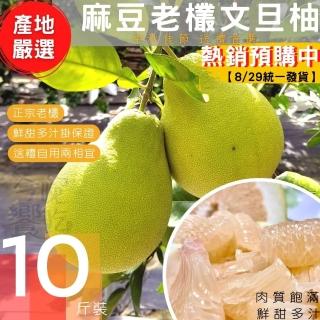 【產地嚴選】麻豆老樣文旦/10斤x1箱
