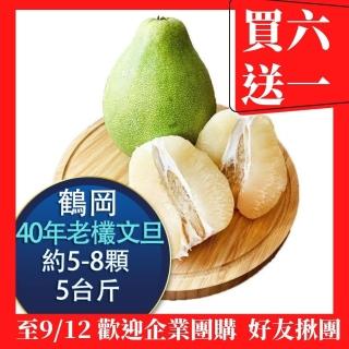 【RealShop 真食材本舖】40年正宗花蓮鶴岡老欉文旦 5台斤裝 約5-8顆 柚子(中秋節送 產地直送)