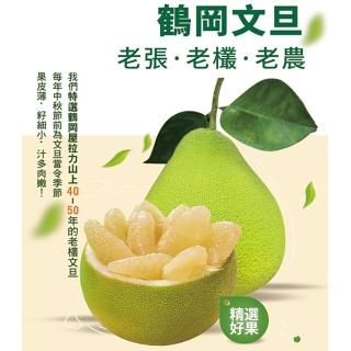 【老張果物】40年老欉鶴岡文旦 10斤禮盒 共2盒(10斤±10%/10-16顆/盒)