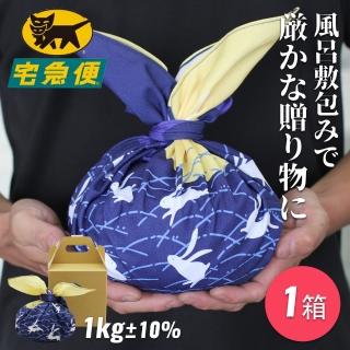 【極限量京都中秋玉兔風呂敷】天龍至大寶島甘露水梨1大玉｜1.2公斤(中秋限定 尊榮水果禮盒)