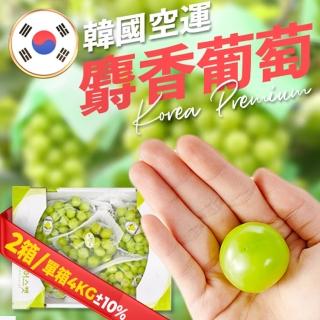 【果樹寶石】韓國空運急送溫室麝香葡萄原裝箱5大房｜4kg2箱(通過嚴格出口標準認證的前1%農場)
