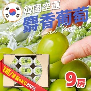 【果樹寶石】韓國空運急送溫室麝香葡萄原裝箱5大房｜4kg1箱(通過嚴格出口標準認證的前1%農場)