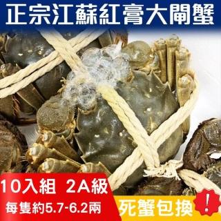 【RealShop 真食材本舖】正宗活體江蘇紅膏大閘蟹 2A級 10隻入(每隻約5.7~6.2兩 不含繩重 死蟹包換)