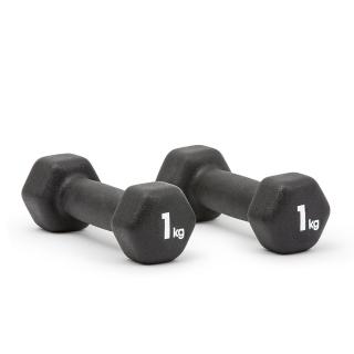 【adidas 愛迪達】六角健身啞鈴(1kg/2入)