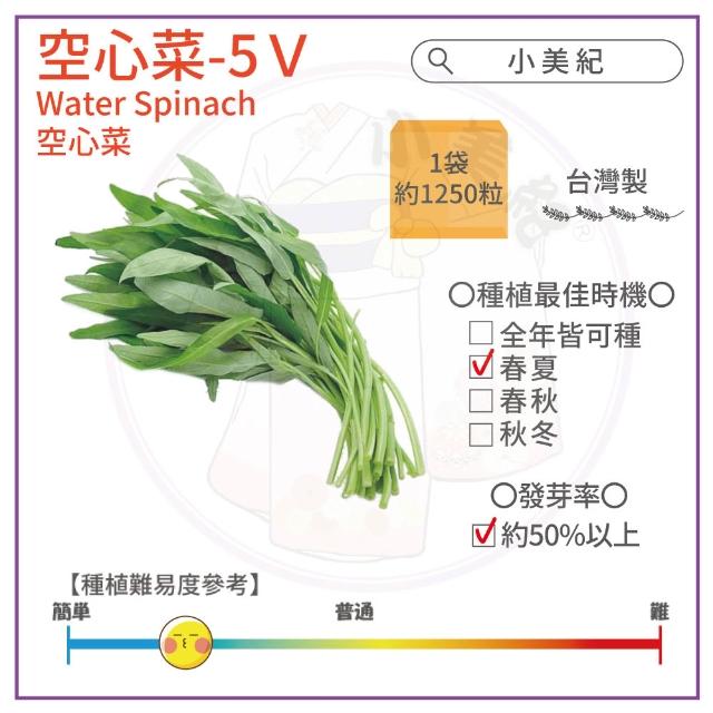 【小美紀】高優質 種子(香菜 辣椒 北蒽 紅骨九層塔 空心菜 南瓜 大陸妹 蔬菜 盆栽 種子)
