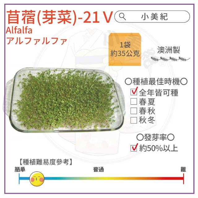 【小美紀】高優質 種子(苜蓿 紫蘿蔔芽 小番茄 波斯菊 向日葵 甜蘿勒 油菜花籽 盆栽 種子)