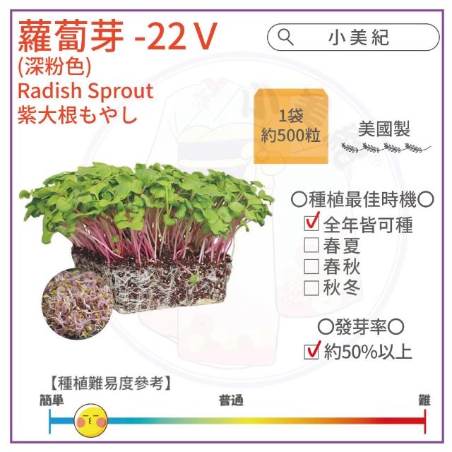【小美紀】高優質 種子(苜蓿 紫蘿蔔芽 小番茄 波斯菊 向日葵 甜蘿勒 油菜花籽 盆栽 種子)