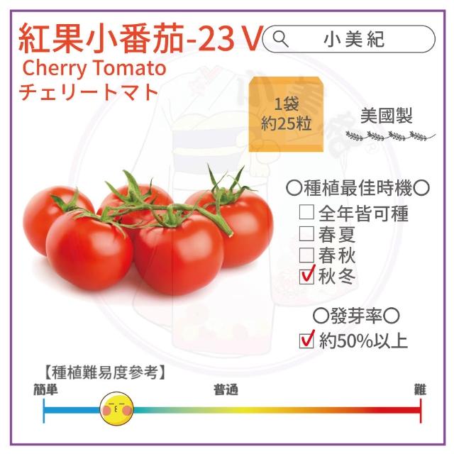 【小美紀】高優質 種子(苜蓿 紫蘿蔔芽 小番茄 波斯菊 向日葵 甜蘿勒 油菜花籽 盆栽 種子)