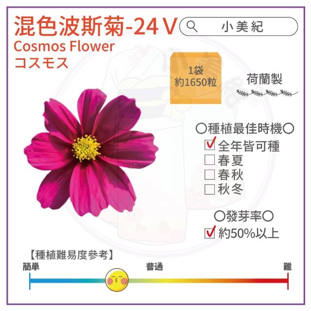 【小美紀】高優質 種子(苜蓿 紫蘿蔔芽 小番茄 波斯菊 向日葵 甜蘿勒 油菜花籽 盆栽 種子)