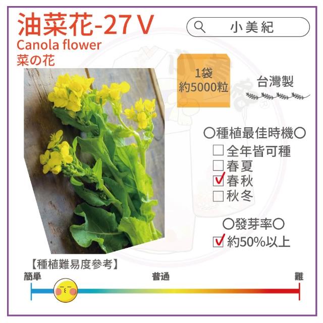 【小美紀】高優質 種子(苜蓿 紫蘿蔔芽 小番茄 波斯菊 向日葵 甜蘿勒 油菜花籽 盆栽 種子)