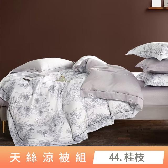 【貝兒居家寢飾生活館】頂級涼感60支天絲涼被(棉被/四季被/TENCEL/多款任選) 涼被/冷氣毯