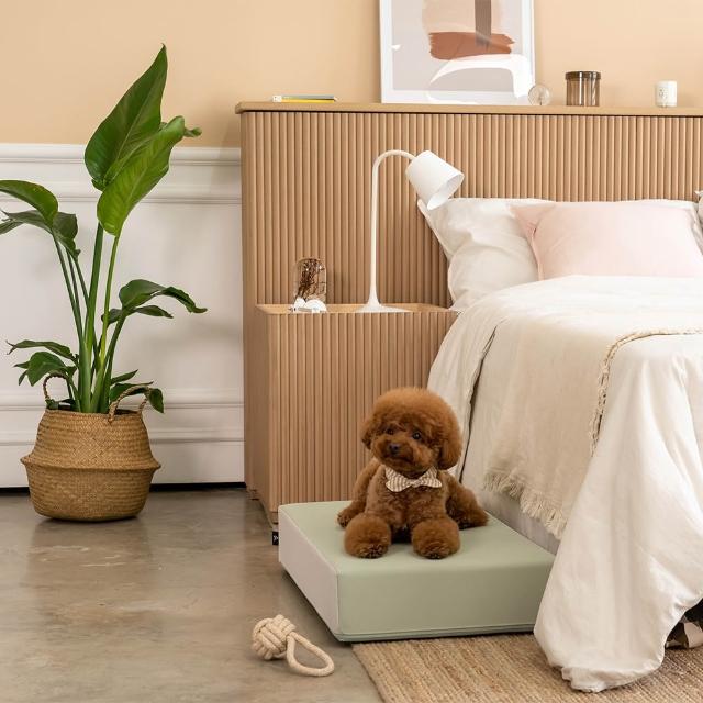 【PUPPING】韓國寵物防滑平台(3色可選)