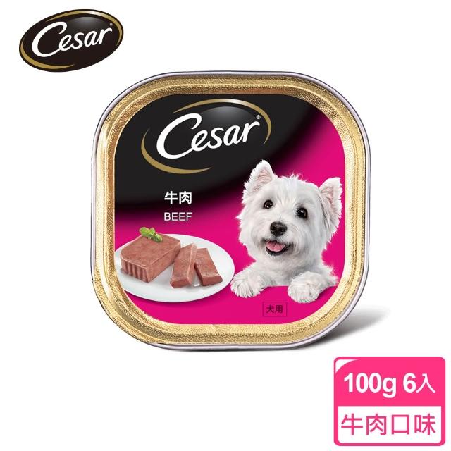 【Cesar 西莎】經典風味餐盒 100g*6入*4口味(任選) 寵物/狗罐頭/狗食