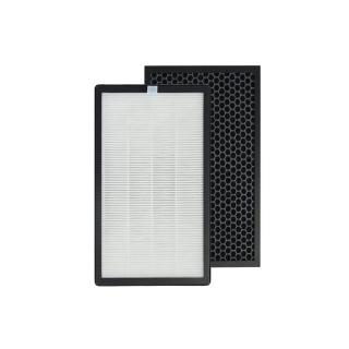 【PUREBURG】2入組-適用Gplus G-plus拓勤PRO-1000 PRO1000雙側進風空氣清淨機活性碳HEPA二合一濾網濾芯