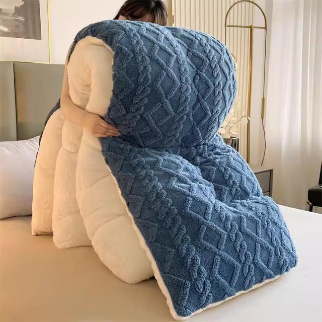【寢聚 Sleep Club】買一送一 塔芙絨×羊羔絨 雙面加厚暖暖被 雙人被 150x200cm(2.3KG 4色任選 棉被 冬被)