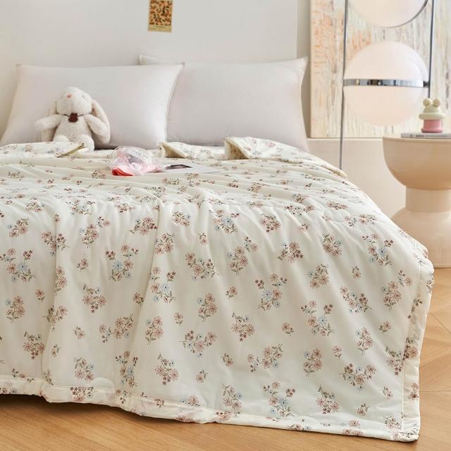 【ALAI 寢飾工場】買1送1 涼夏韓版抗菌冰絲涼被 多款任選 150×200cm(可水洗/四季被/冰冰被/涼感絲/隨身被)