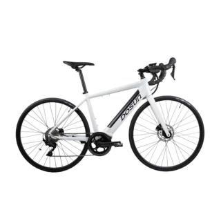 【DOSUN】電動輔助自行車/腳踏車 RT100 43CM 油壓碟 白_送安裝(車麗屋)