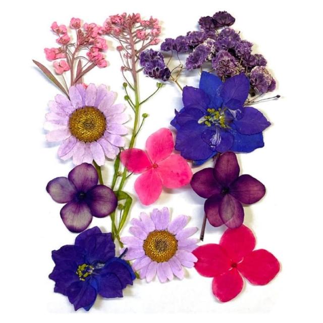 【A-ONE 匯旺】乾燥花材料盒 永生花材料 乾燥花不凋花 香薰蠟燭材料 浮油花 裝飾花 壓花