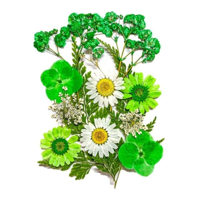 【A-ONE 匯旺】乾燥花材料盒 永生花材料 乾燥花不凋花 香薰蠟燭材料 浮油花 裝飾花 壓花