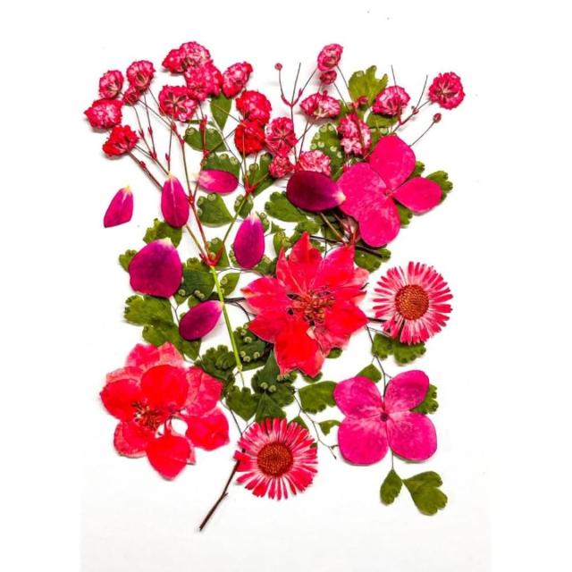 【A-ONE 匯旺】乾燥花材料盒 永生花材料 乾燥花不凋花 香薰蠟燭材料 浮油花 裝飾花 壓花