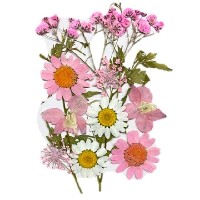 【A-ONE 匯旺】乾燥花材料盒 永生花材料 乾燥花不凋花 香薰蠟燭材料 浮油花 裝飾花 壓花