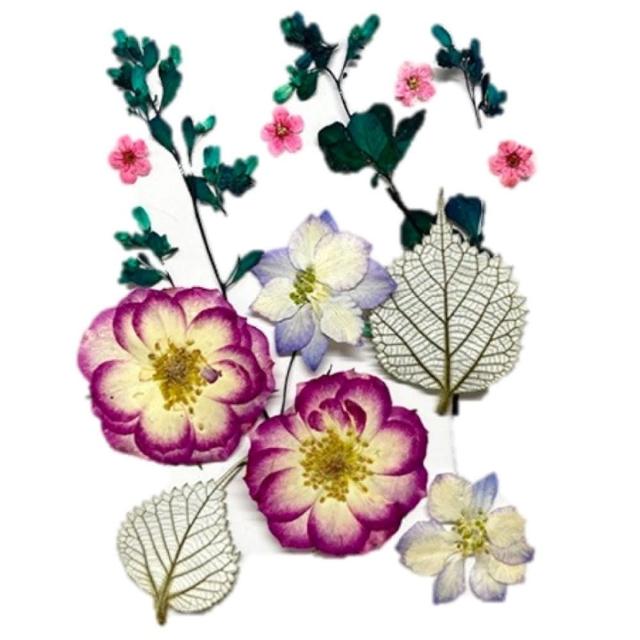 【A-ONE 匯旺】乾燥花材料盒 永生花材料 乾燥花不凋花 香薰蠟燭材料 浮油花 裝飾花 壓花