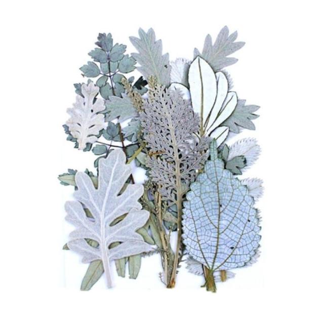 【A-ONE 匯旺】乾燥花材料盒 永生花材料 乾燥花不凋花 香薰蠟燭材料 浮油花 裝飾花 壓花