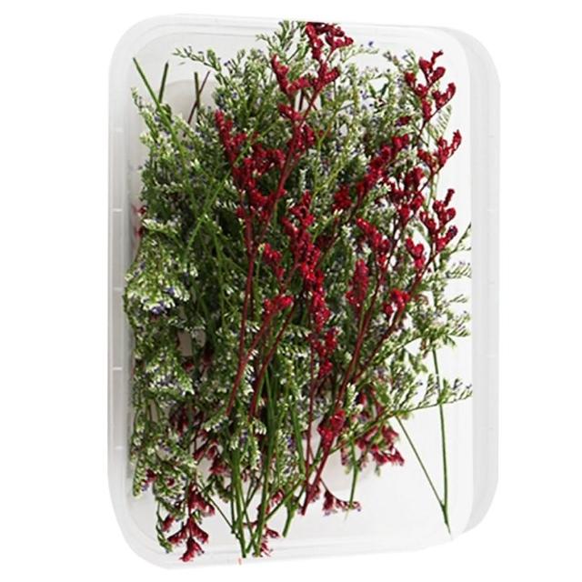 【A-ONE 匯旺】乾燥花材料包 永生花 浮油花 乾燥花DIY 乾燥花藝教學 自然乾燥花材料包 乾燥花材料禮盒(A03)