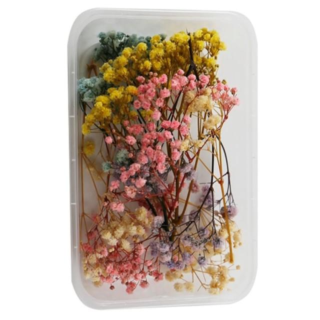 【A-ONE 匯旺】乾燥永生花 不凋滿天星 捧花胸花桌花花材 乾燥花束材料 不凋花玫瑰 鄉村風 拍攝道具(A10)