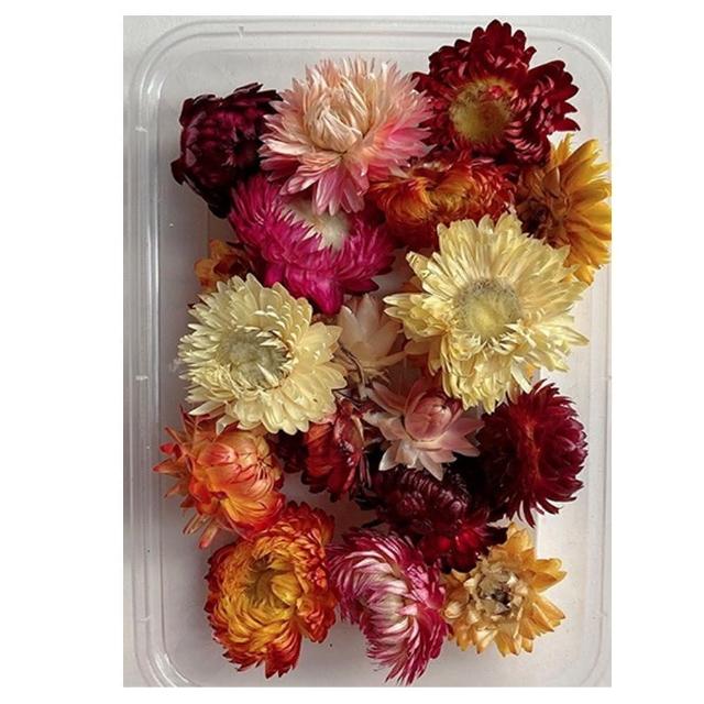 【A-ONE 匯旺】裝飾 乾燥花材料包 永生花材料包 花材包 DIY 手作 桌花 永生玫瑰 花籃 花盅(A12)