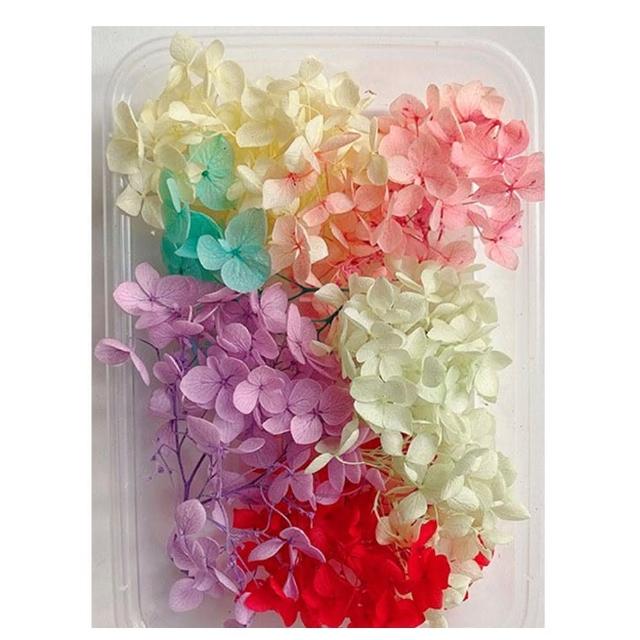 【A-ONE 匯旺】裝飾 乾燥花材料包 永生花材料包 花材包 DIY 手作 桌花 永生玫瑰 花籃 花盅(A12)