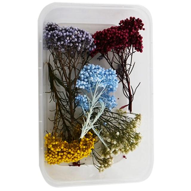【A-ONE 匯旺】裝飾 乾燥花材料包 永生花材料包 花材包 DIY 手作 桌花 永生玫瑰 花籃 花盅(A12)