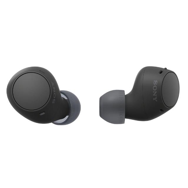 【SONY 索尼】WF-C510 真無線藍牙耳機(公司貨 保固12個月)