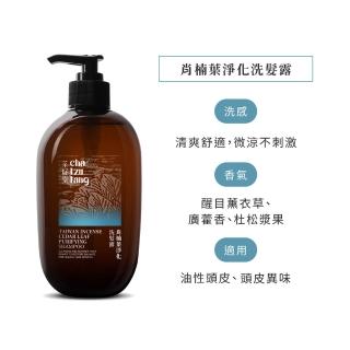 【茶籽堂】三大植萃香氣洗髮露500mL｜三款調理任選(肖楠葉/馬栗樹/水芙蓉/控油保濕)