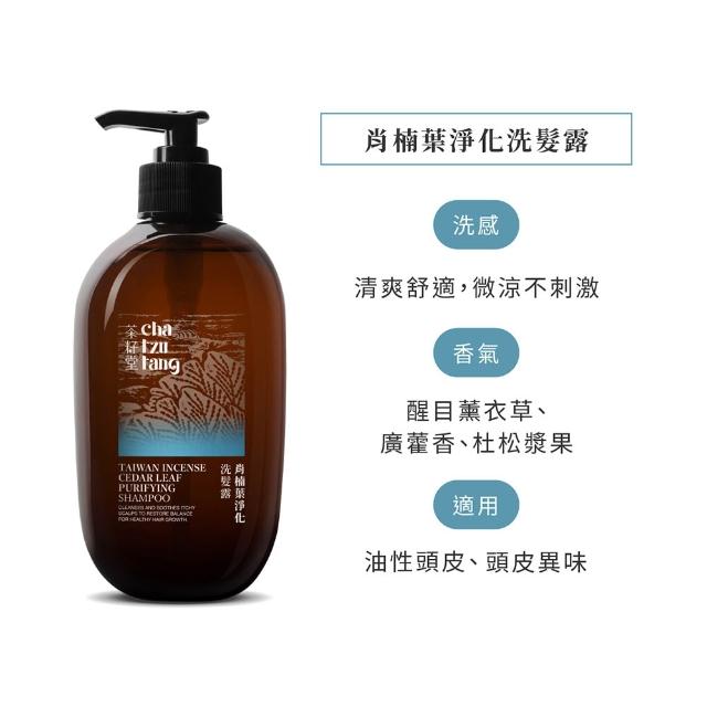 【茶籽堂】肖楠葉淨化洗髮露500mLx2入(油性頭皮/頭皮異味/淨化毛孔)