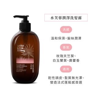 【茶籽堂】三大植萃香氣洗髮露500mL｜三款調理任選(肖楠葉/馬栗樹/水芙蓉/控油保濕)
