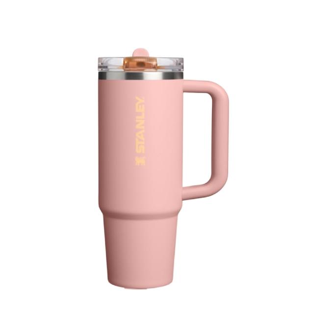 【STANLEY】官方直營 防漏吸管隨手杯 0.88L (隨行杯/吸管杯/保冰杯/水壺)