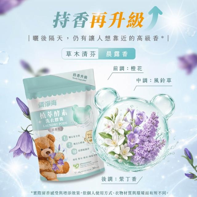 【清淨海】升級版 植萃酵素洗衣膠囊 小熊洗衣球6入組(持香升級 七大酵素 10倍濃縮)