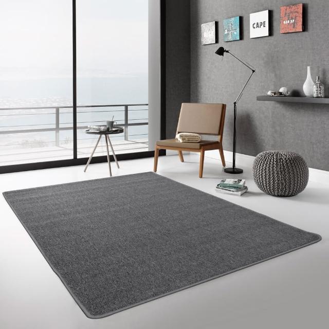 【范登伯格】經典素面圈毛地毯(105x156cm/共三色)