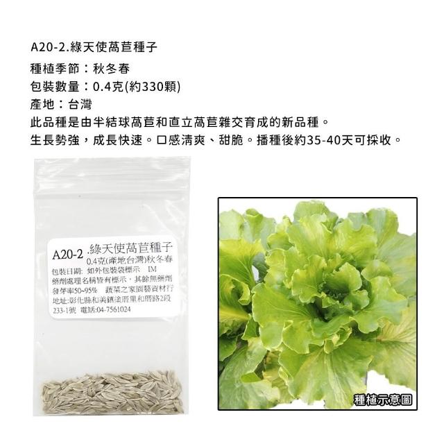 【蔬菜工坊】新手生菜類種子系列-各包裝數量詳見內文及圖片說明