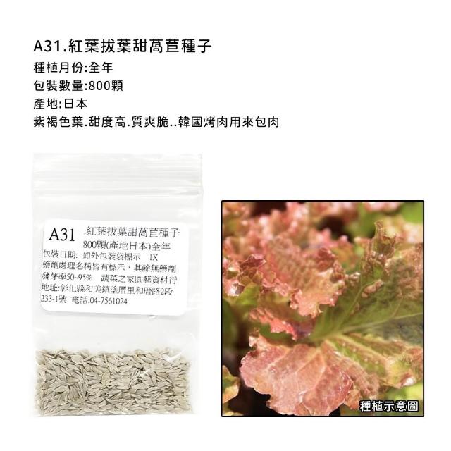 【蔬菜工坊】新手生菜類種子系列-各包裝數量詳見內文及圖片說明