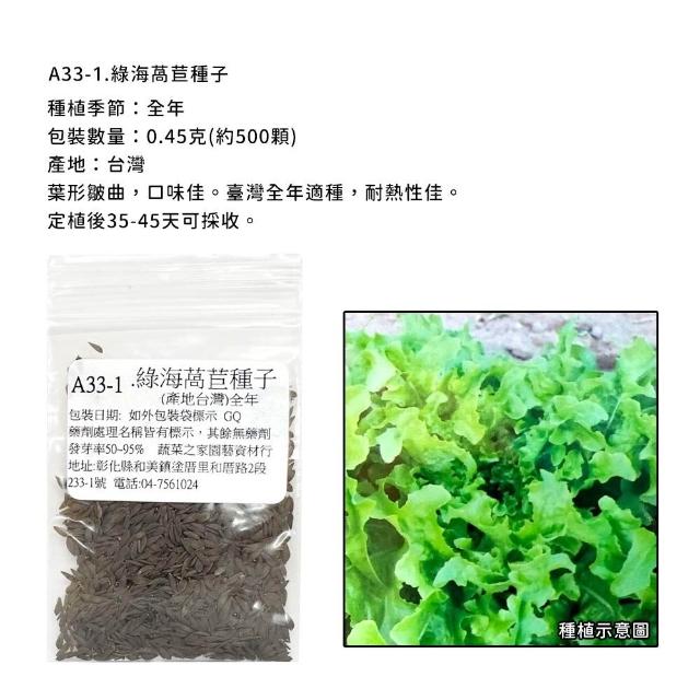 【蔬菜工坊】新手生菜類種子系列-各包裝數量詳見內文及圖片說明