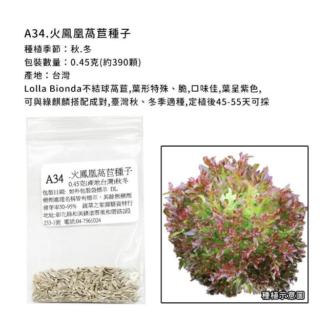 【蔬菜工坊】新手生菜類種子系列-各包裝數量詳見內文及圖片說明