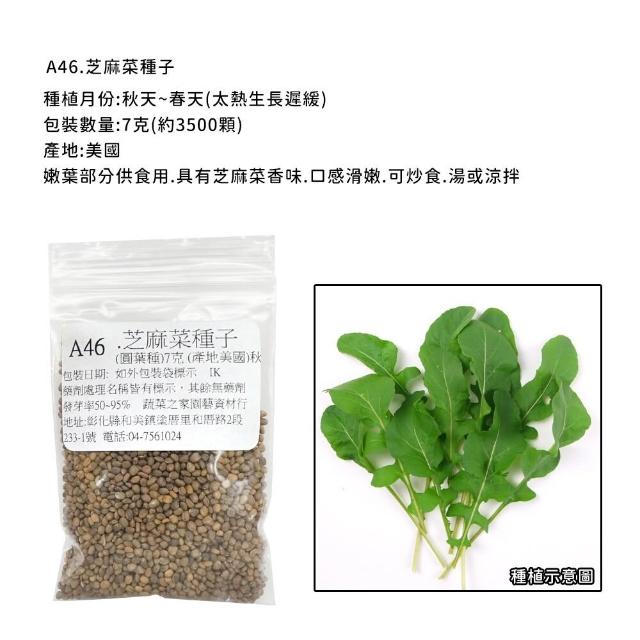 【蔬菜工坊】新手生菜類種子系列-各包裝數量詳見內文及圖片說明