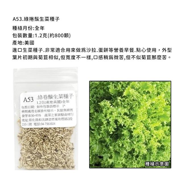 【蔬菜工坊】新手生菜類種子系列-各包裝數量詳見內文及圖片說明