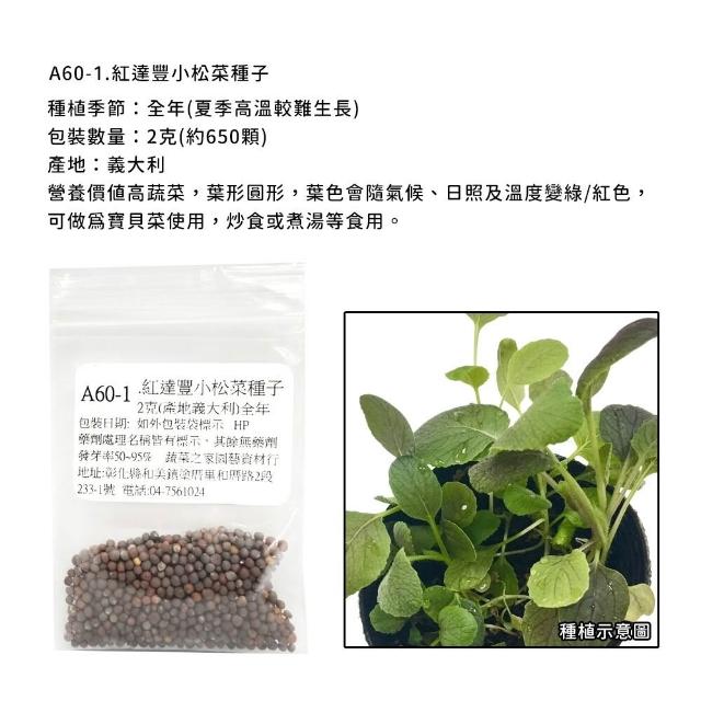 【蔬菜工坊】新手生菜類種子系列-各包裝數量詳見內文及圖片說明