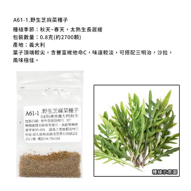 【蔬菜工坊】新手生菜類種子系列-各包裝數量詳見內文及圖片說明