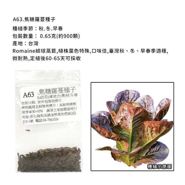 【蔬菜工坊】新手生菜類種子系列-各包裝數量詳見內文及圖片說明